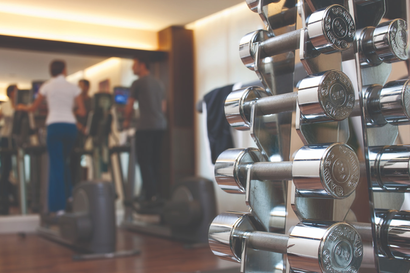 Close-up of weights in a gym